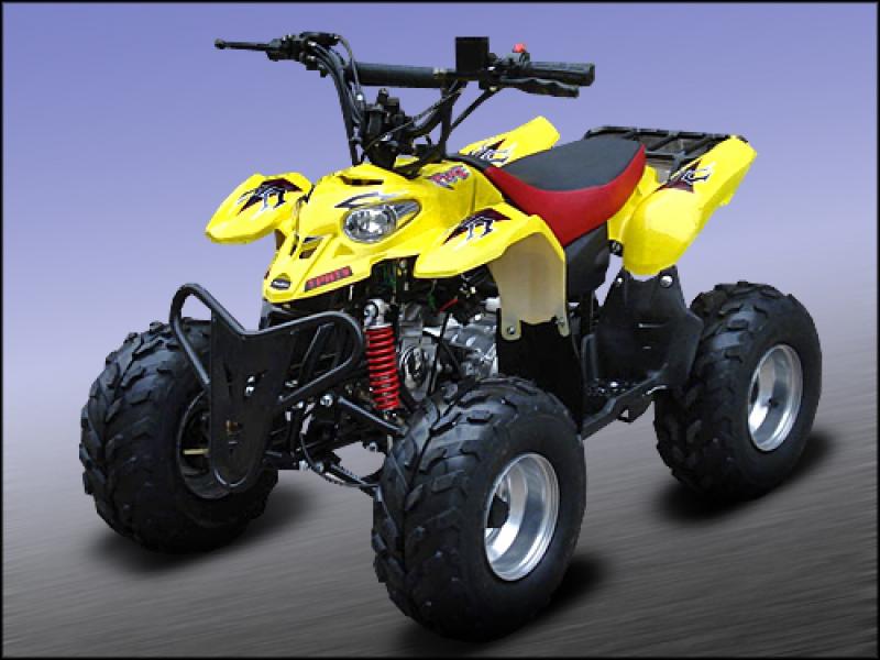 quad polaris 110 cm3