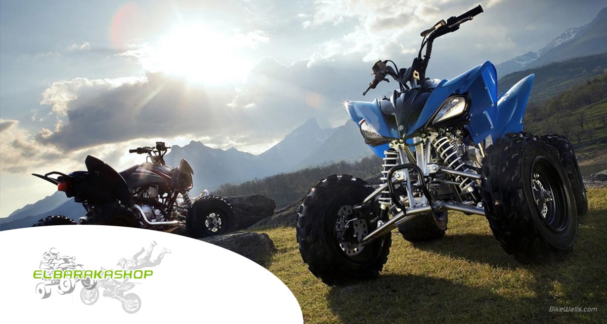 SUPER PROMO!!! JACKALL 49cc Moto cross enfant + Bridage BLEU