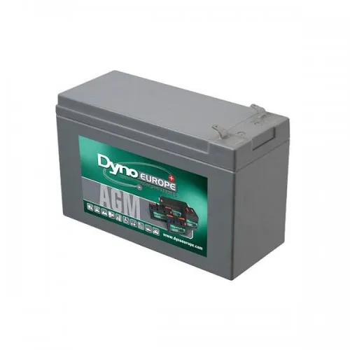 AGM BATTERY 12V 9.6AH/C20 8.5AH/C5 T1
