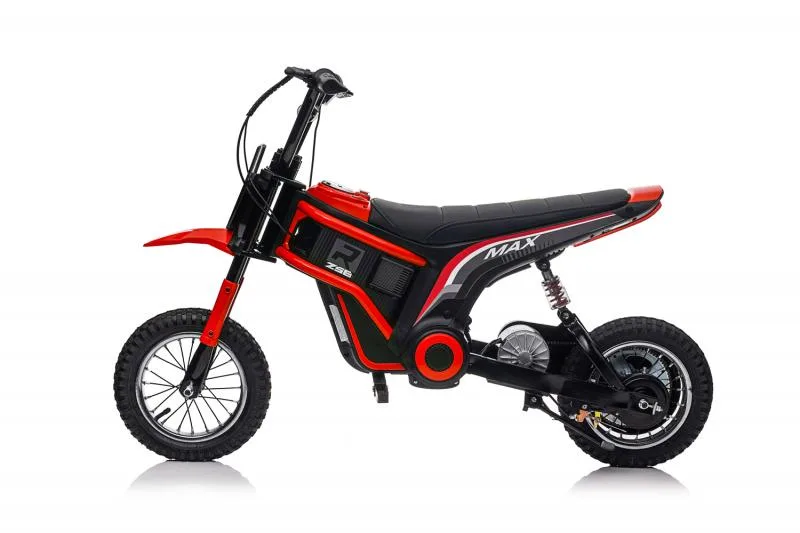ECO BIKE  350W/24V/10Ah - photo 2