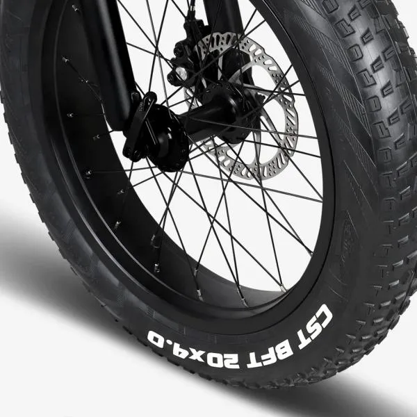 Pneu fatbike 20x4.00 (100-406) CST C1752 BFT Fat Bike MTB - photo 2
