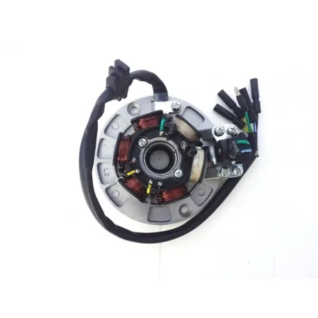 Plateau d'allumage avec éclairage pour moteur 150cc YX /160cc YX